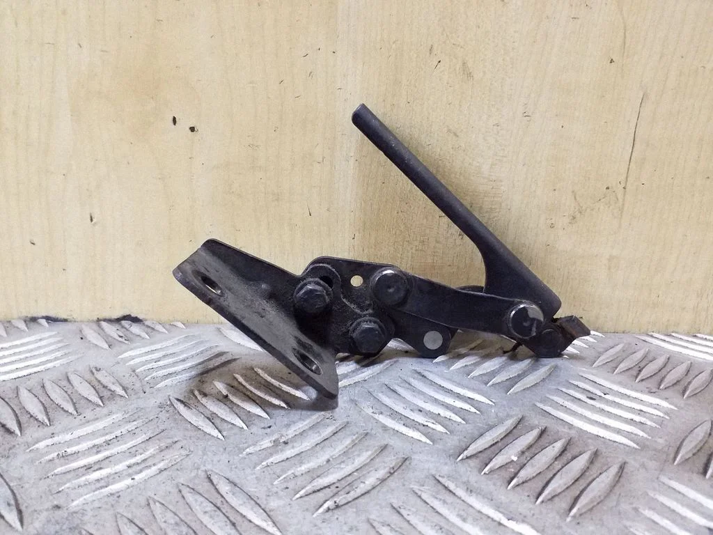 Vyris (-iai) variklio dangčio