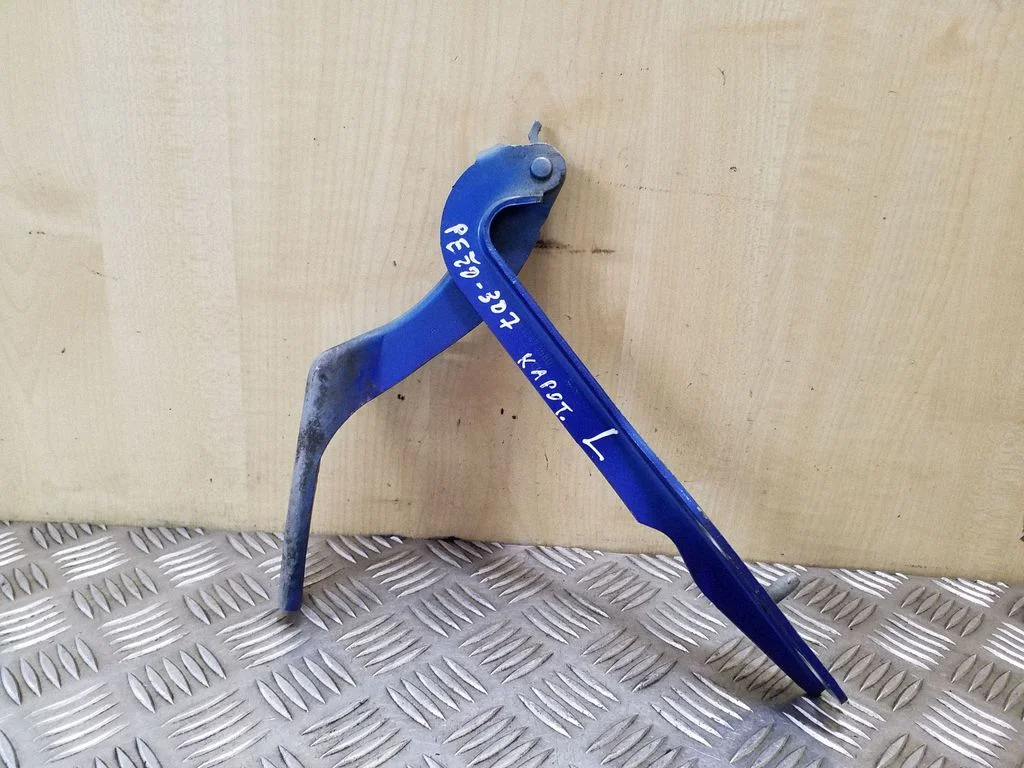 Vyris (-iai) variklio dangčio