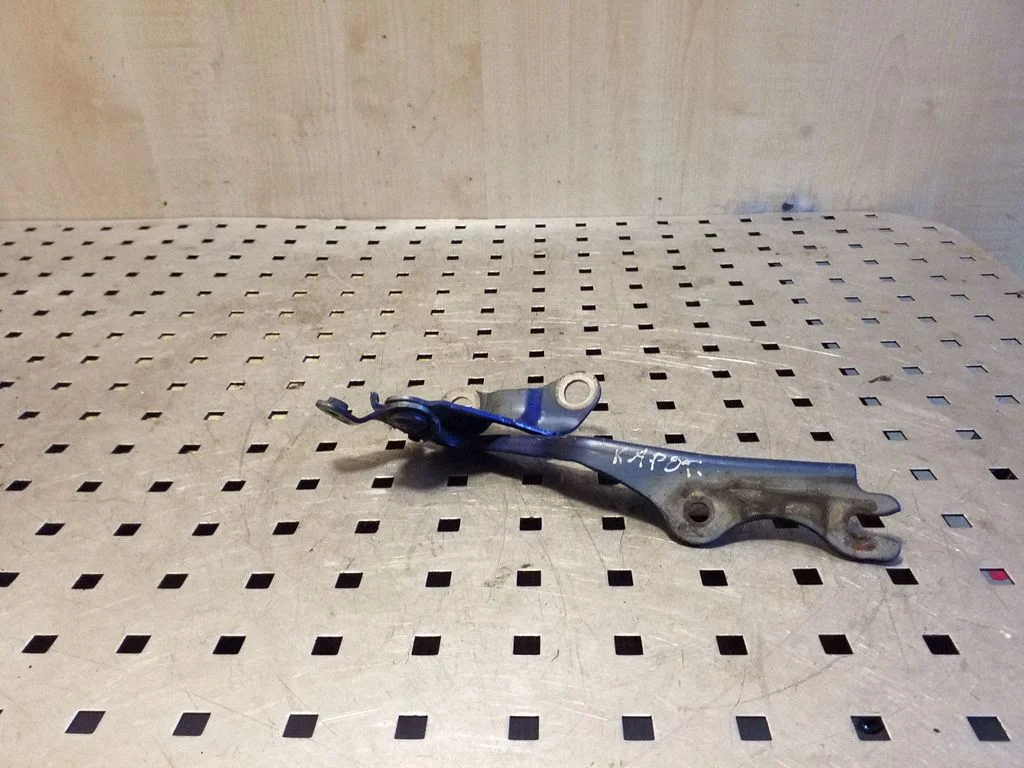 Vyris (-iai) variklio dangčio