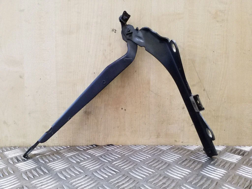 Vyris (-iai) variklio dangčio