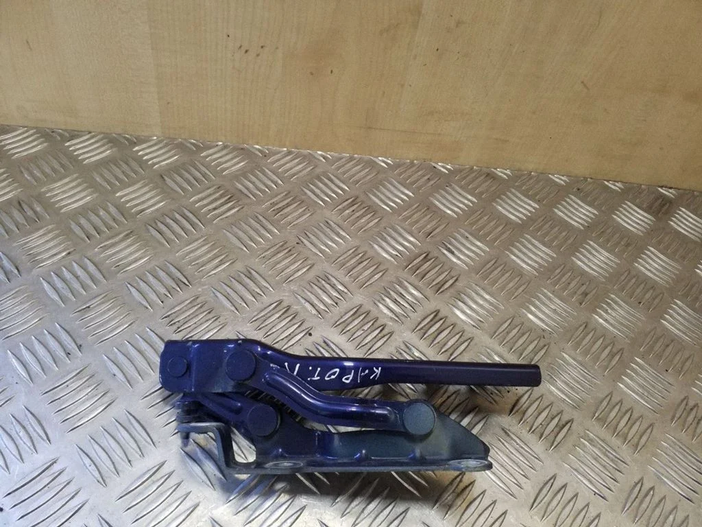 Vyris (-iai) variklio dangčio
