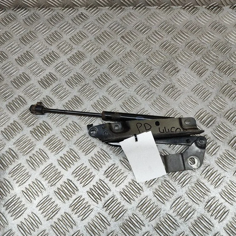 Vyris (-iai) variklio dangčio