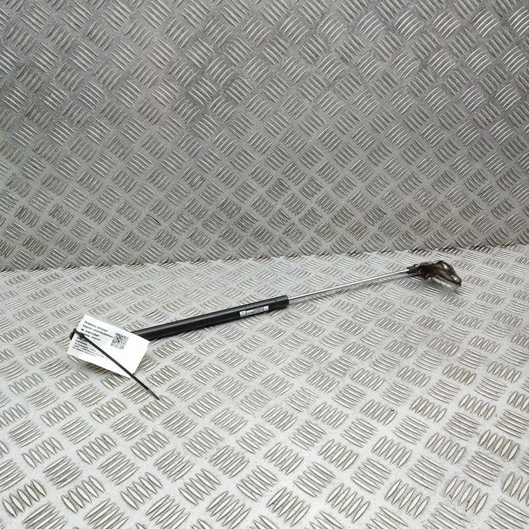 Amortizatorius variklio dangčio