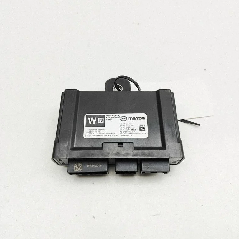 Durų elektronikos valdymo blokas