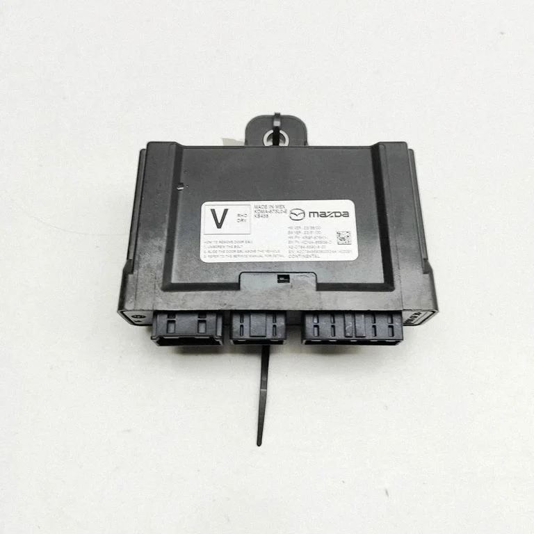 Durų elektronikos valdymo blokas