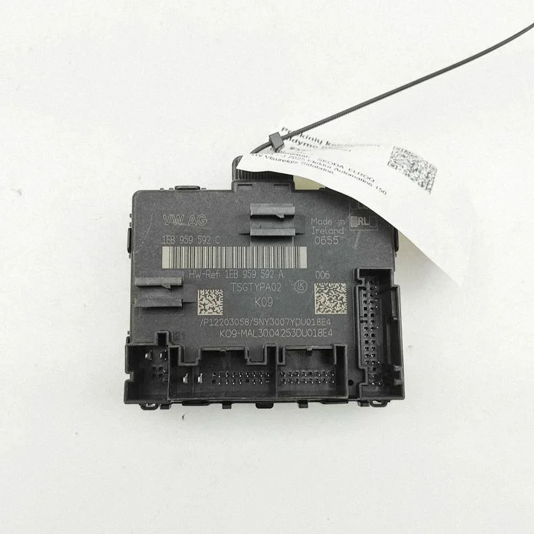 Durų elektronikos valdymo blokas