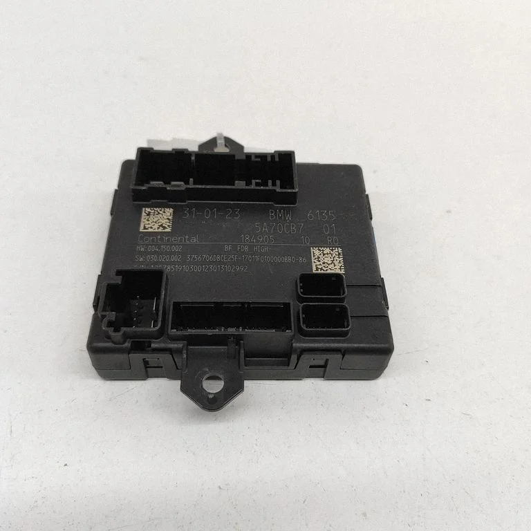 Durų elektronikos valdymo blokas