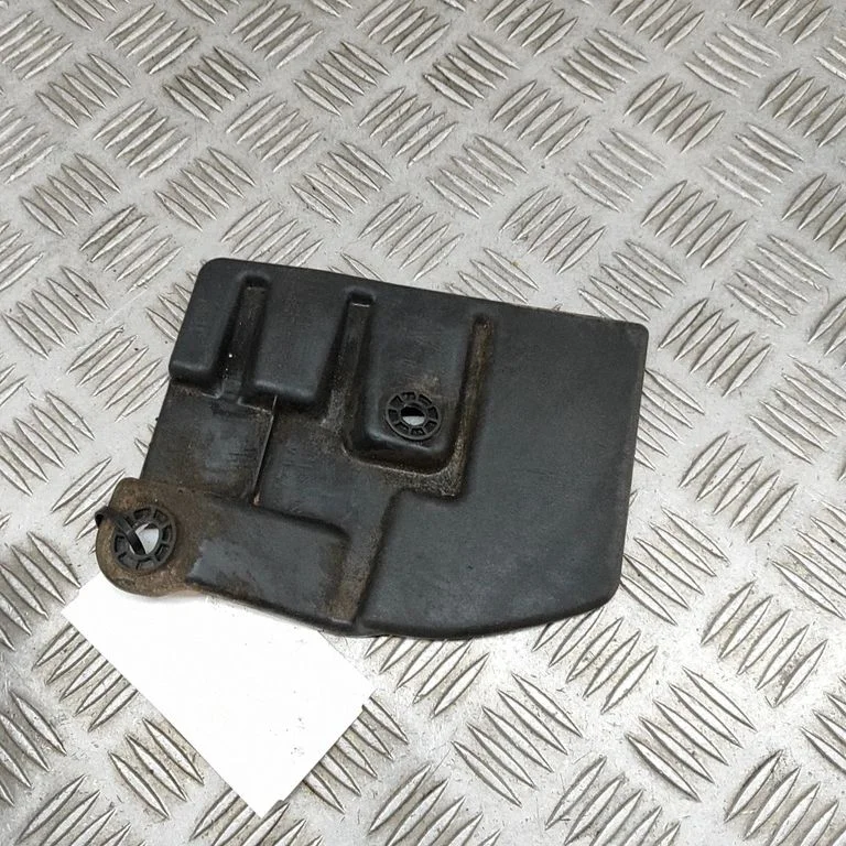 Galinis purvasargis