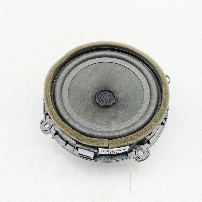 Garsiakalbis (-iai) priekinėse duryse