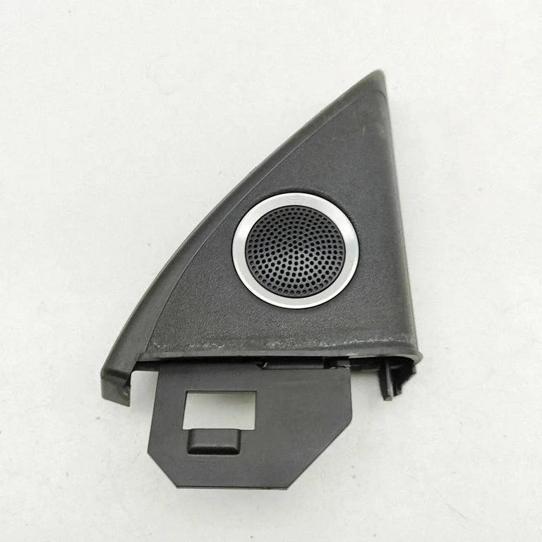 Garsiakalbis (-iai) priekinėse duryse