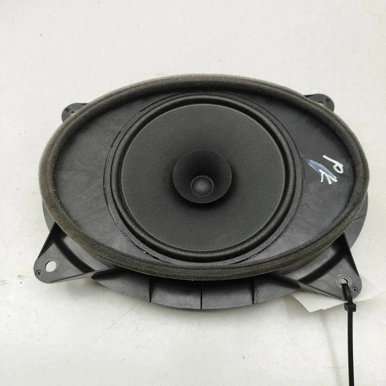 Garsiakalbis (-iai) priekinėse duryse