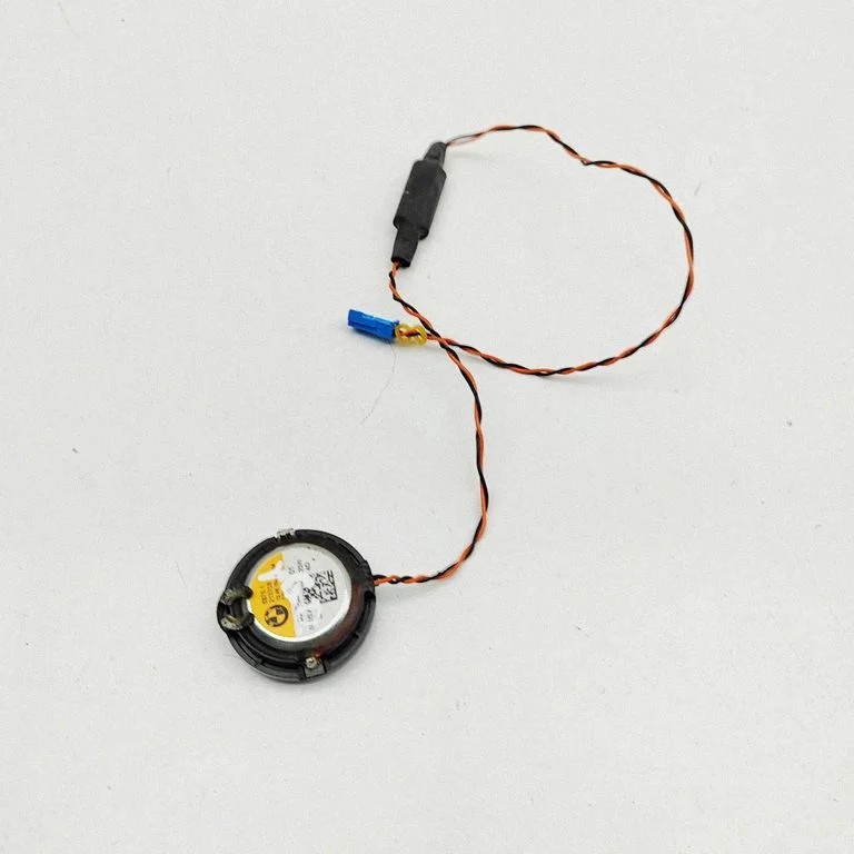 Garsiakalbis (-iai) priekinėse duryse
