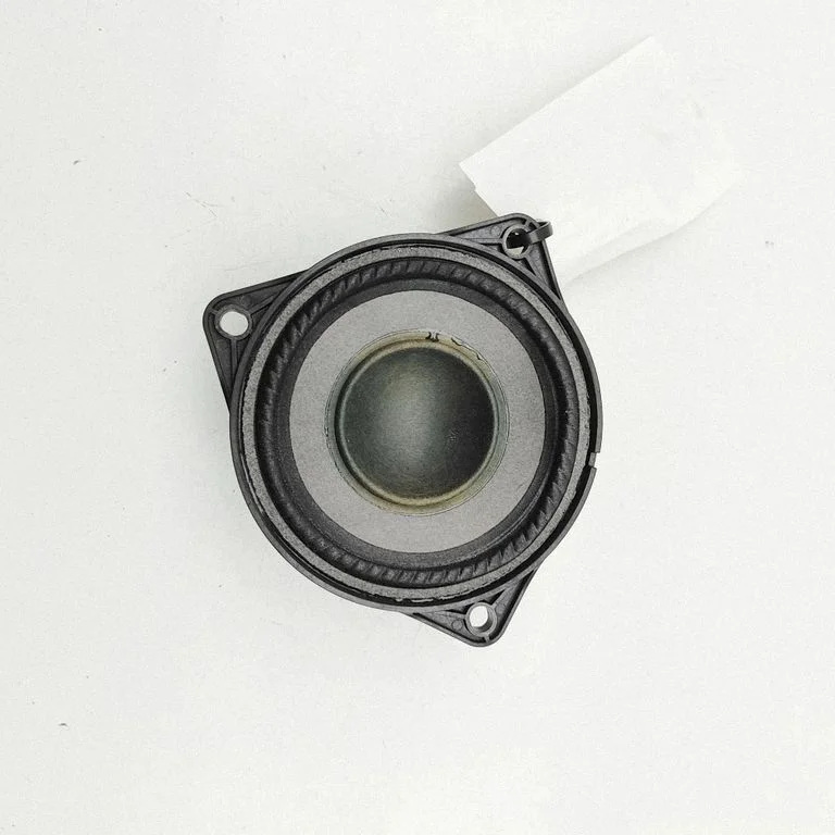 Garsiakalbis (-iai) priekinėse duryse