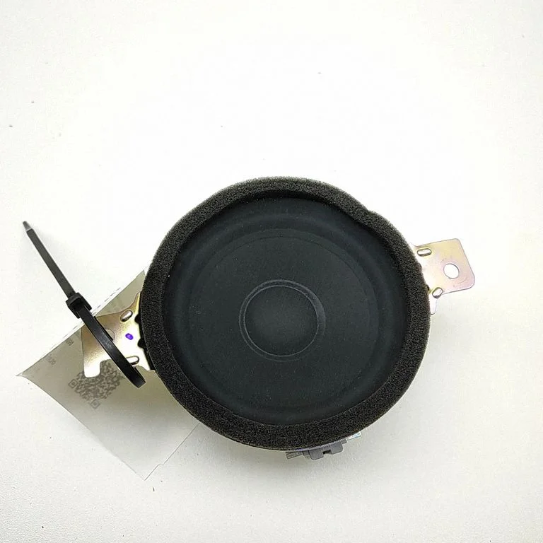 Garsiakalbis panelėje