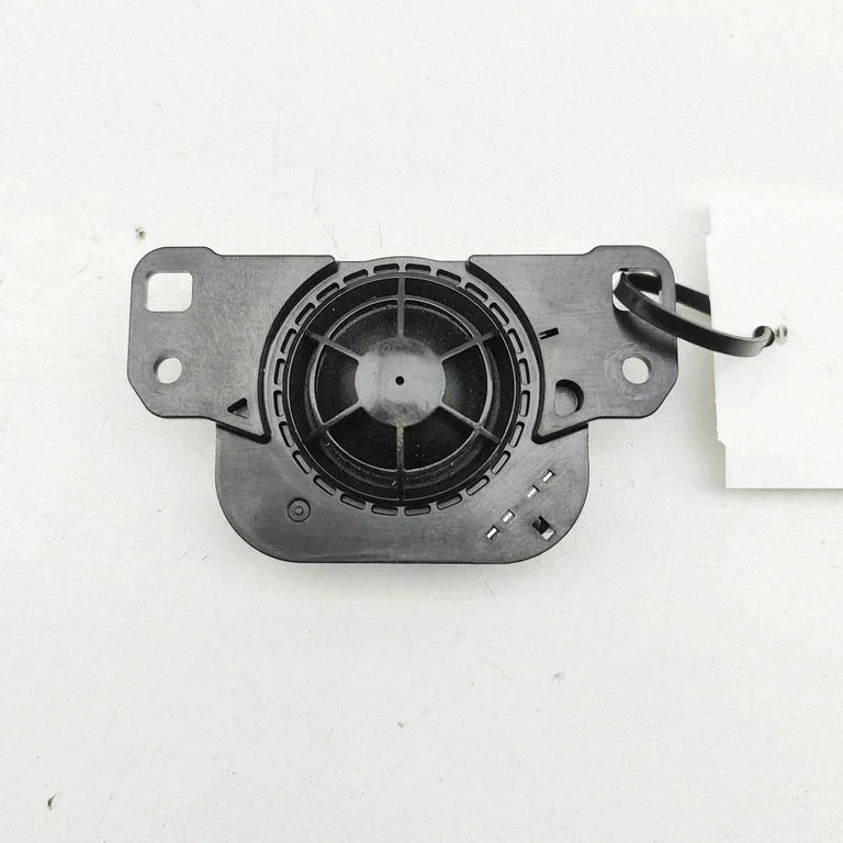 Garsiakalbis panelėje