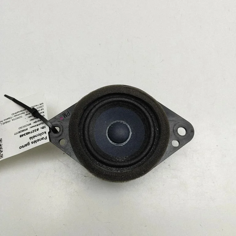 Garsiakalbis panelėje
