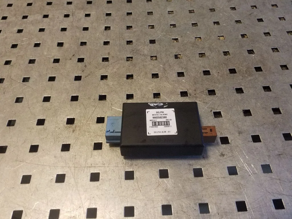 Signalizacijos valdymo blokas