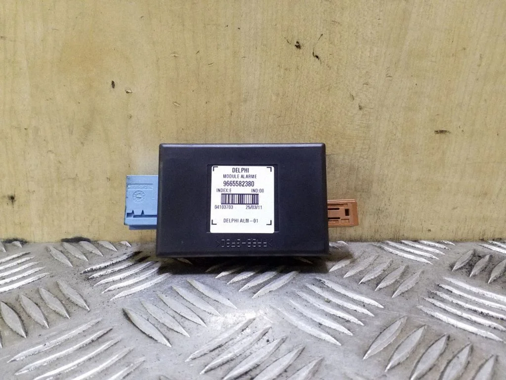 Signalizacijos valdymo blokas