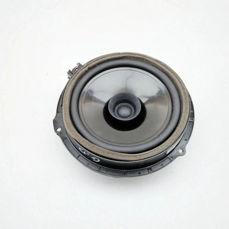 Garsiakalbis (-iai) galinėse duryse