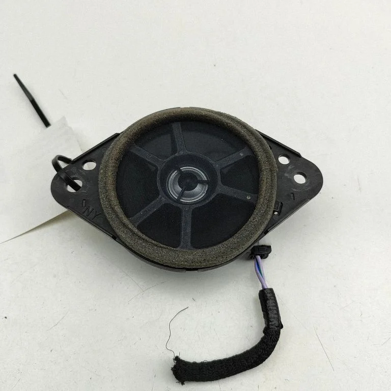 Garsiakalbis (-iai) galinėse duryse