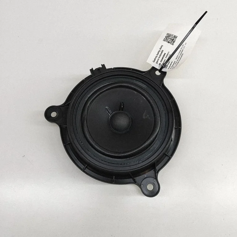 Garsiakalbis (-iai) galinėse duryse
