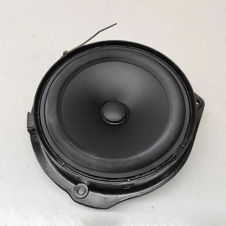 Garsiakalbis (-iai) galinėse duryse