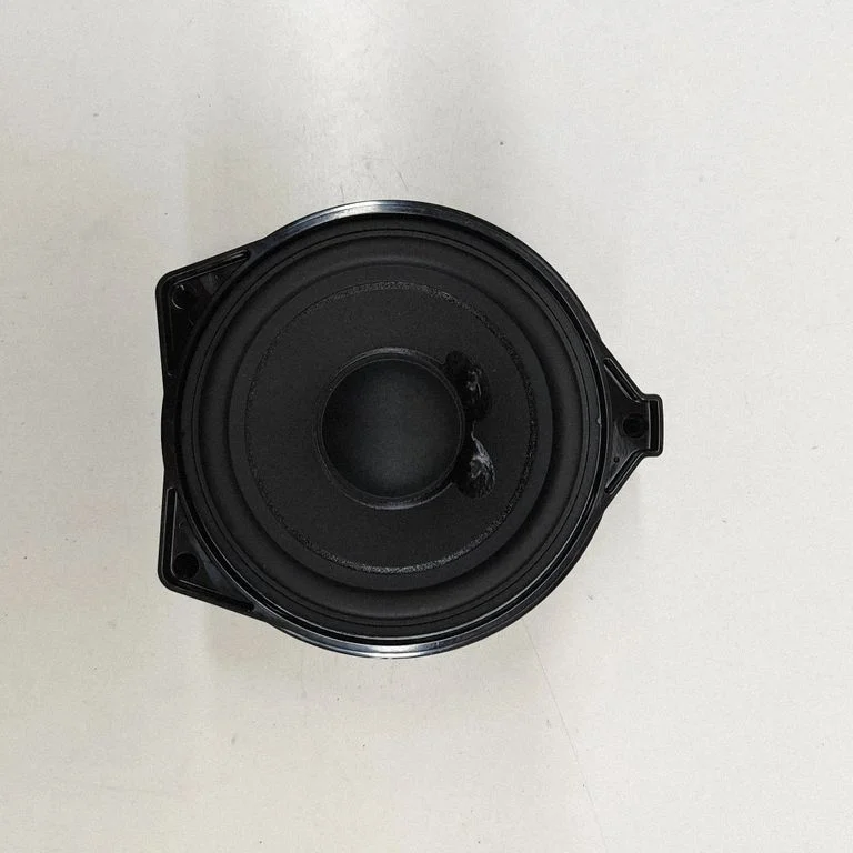 Garsiakalbis (-iai) galinėse duryse