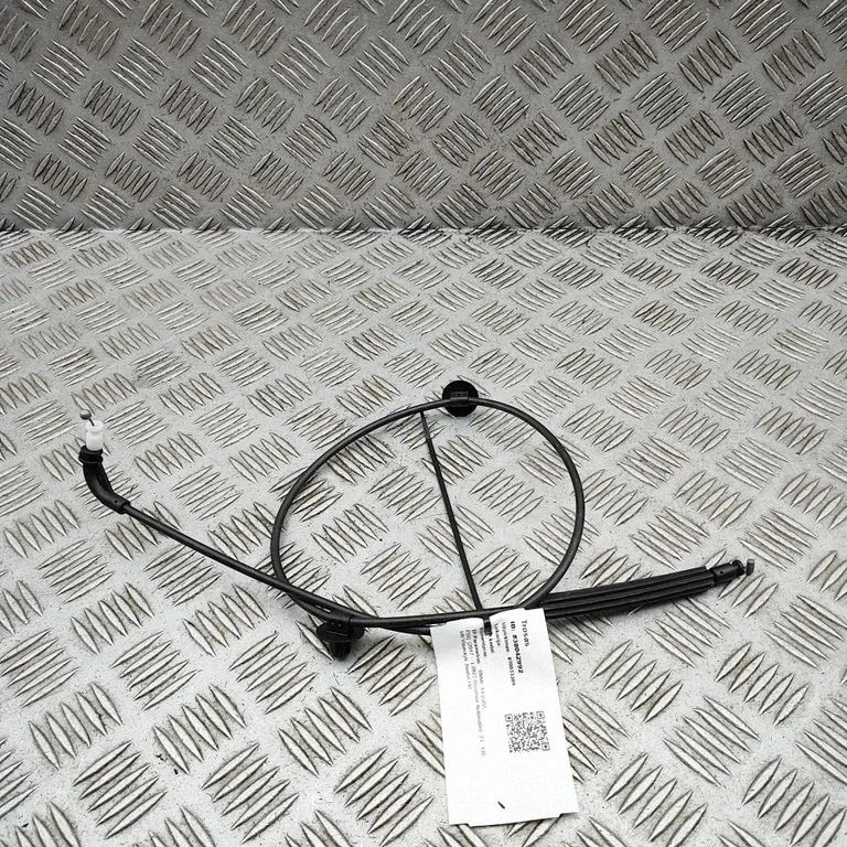 Kita kėbulo dalis