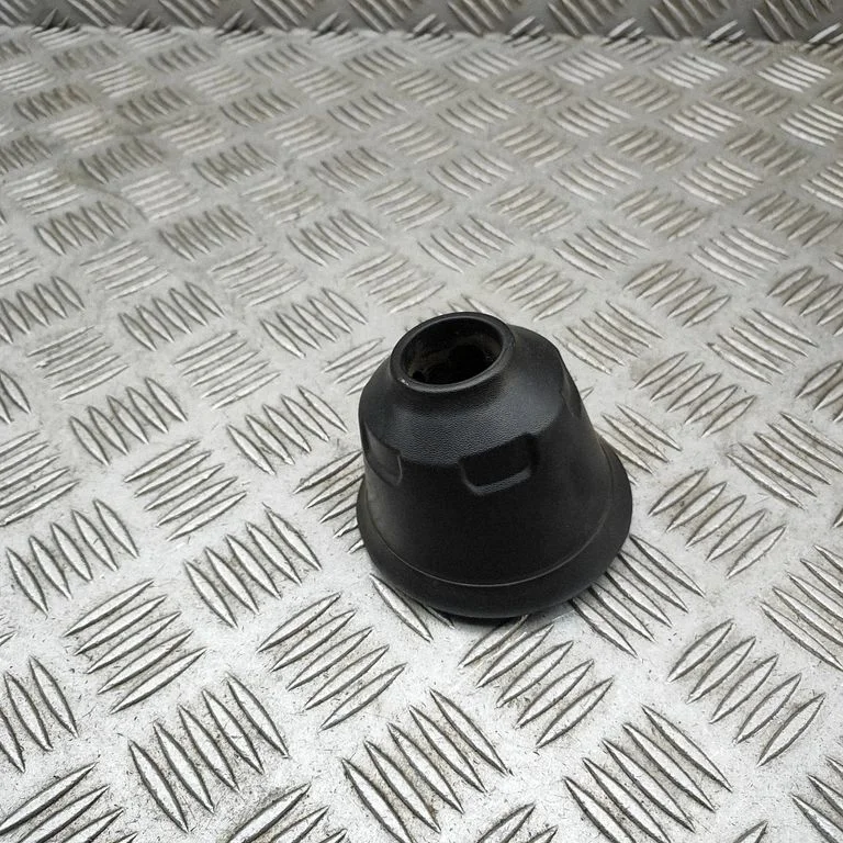 Kita kėbulo dalis