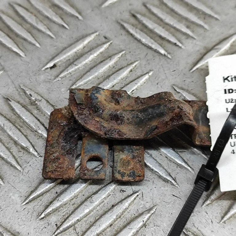 Kita kėbulo dalis