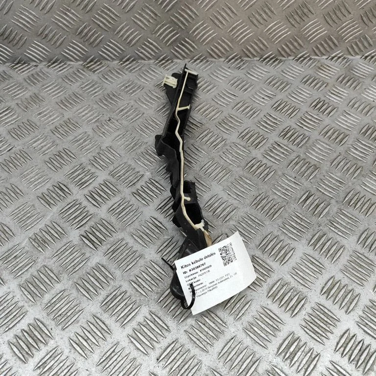Kita kėbulo dalis