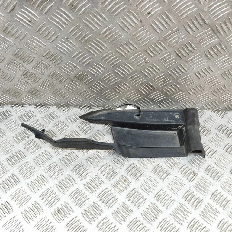 Kita kėbulo dalis