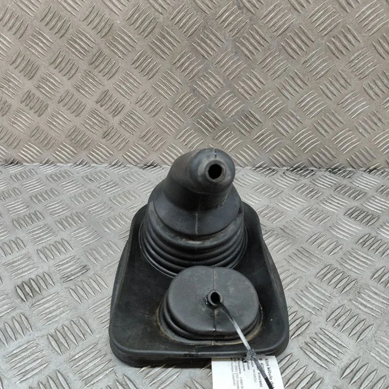 Kita kėbulo dalis