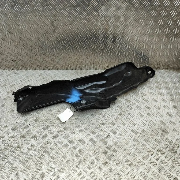 Kita kėbulo dalis