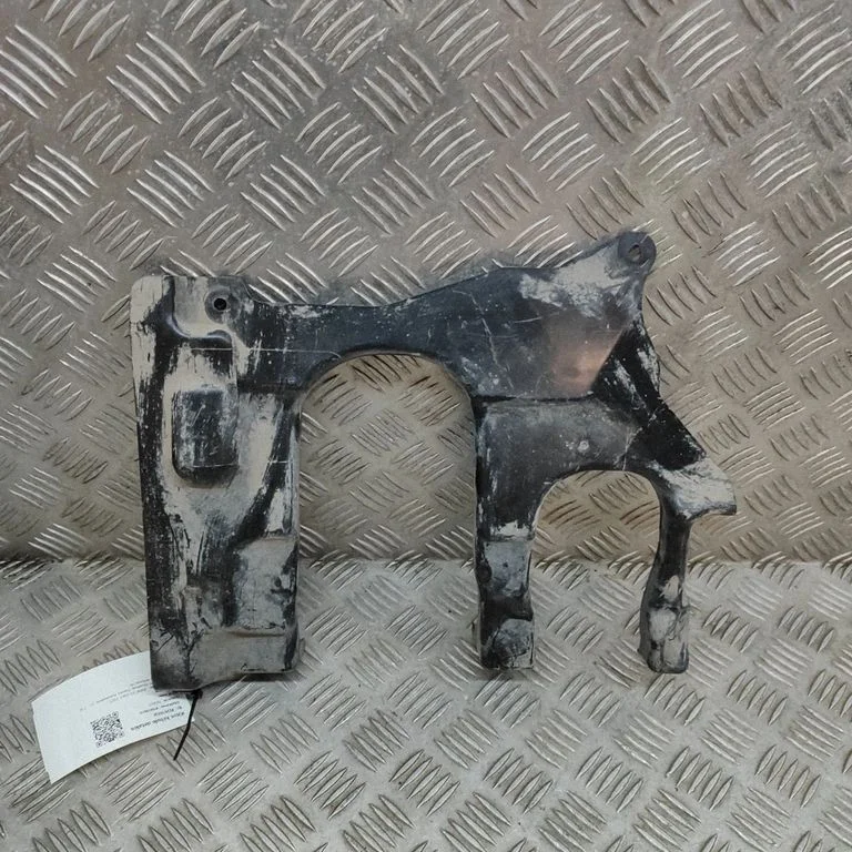 Kita kėbulo dalis