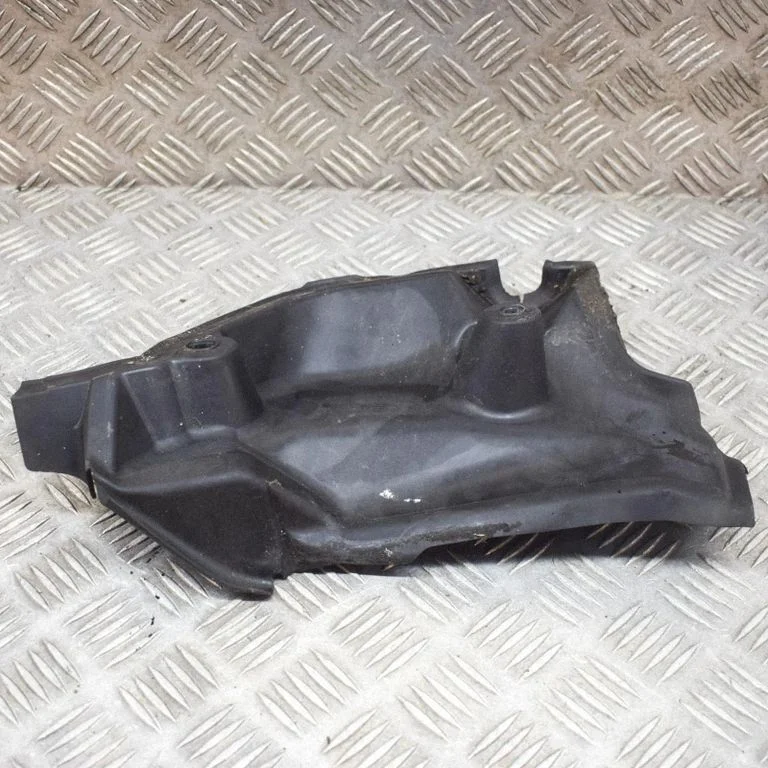 Kita kėbulo dalis