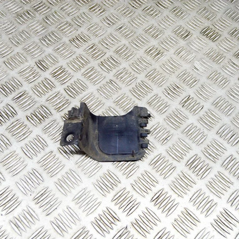 Kita kėbulo dalis