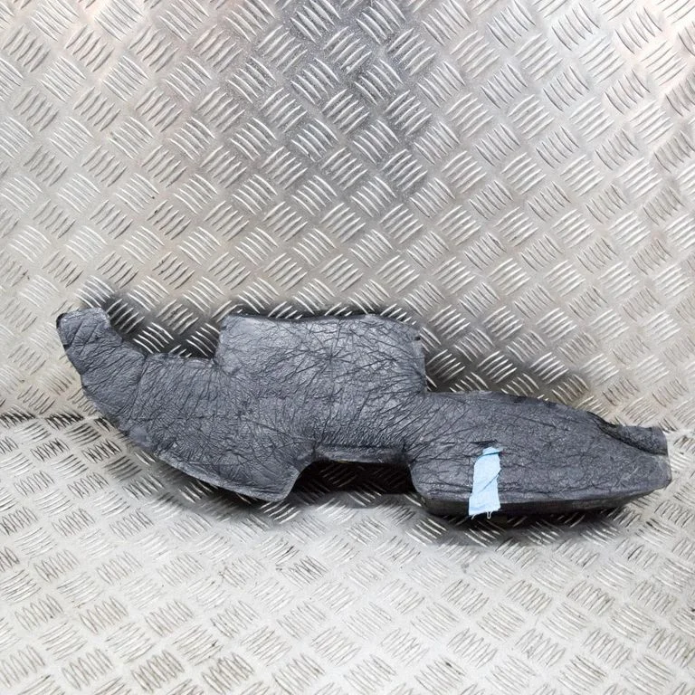 Kita kėbulo dalis