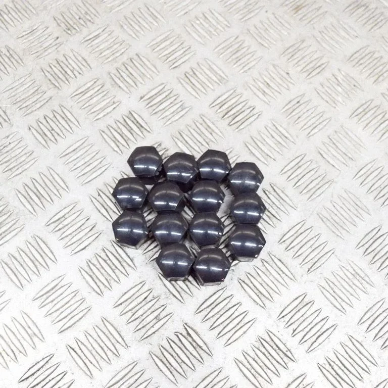 Kita kėbulo dalis