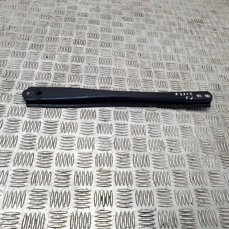 Kita kėbulo dalis