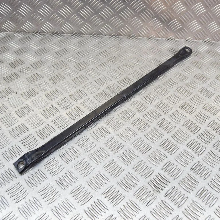 Kita kėbulo dalis