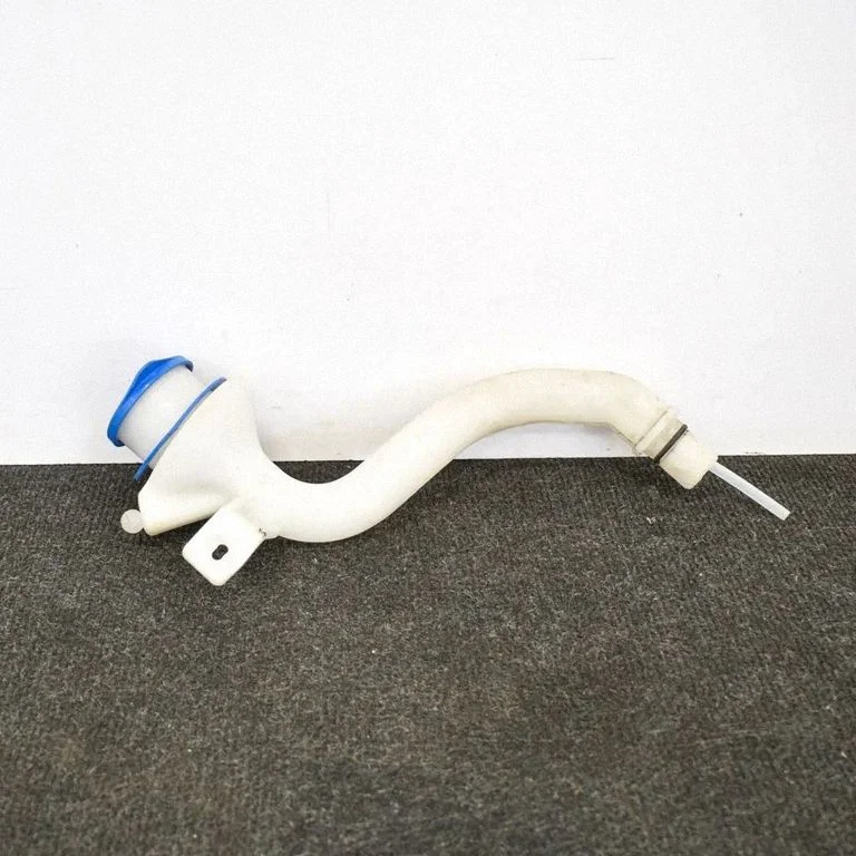 Kita kėbulo dalis