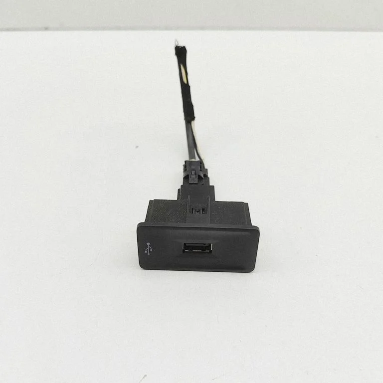 USB jungtis