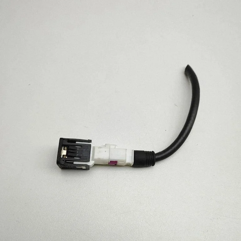 USB jungtis