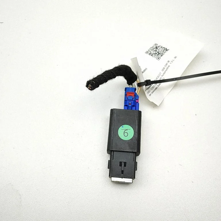 USB jungtis