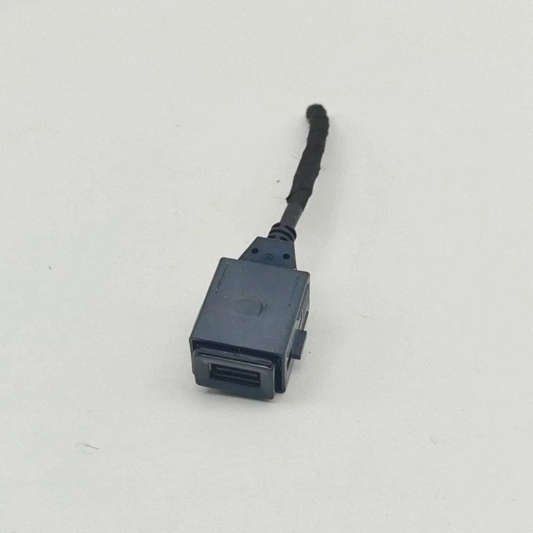 USB jungtis