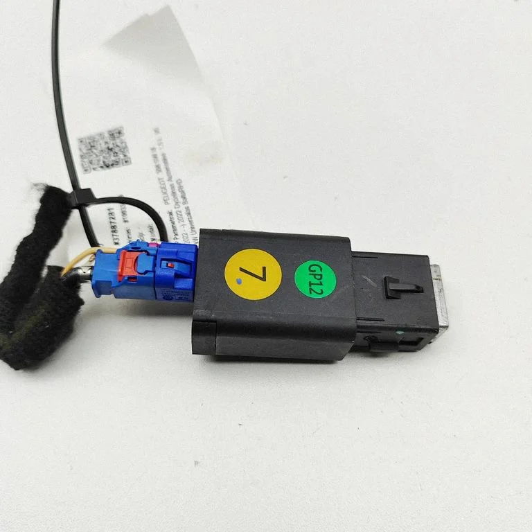 USB jungtis