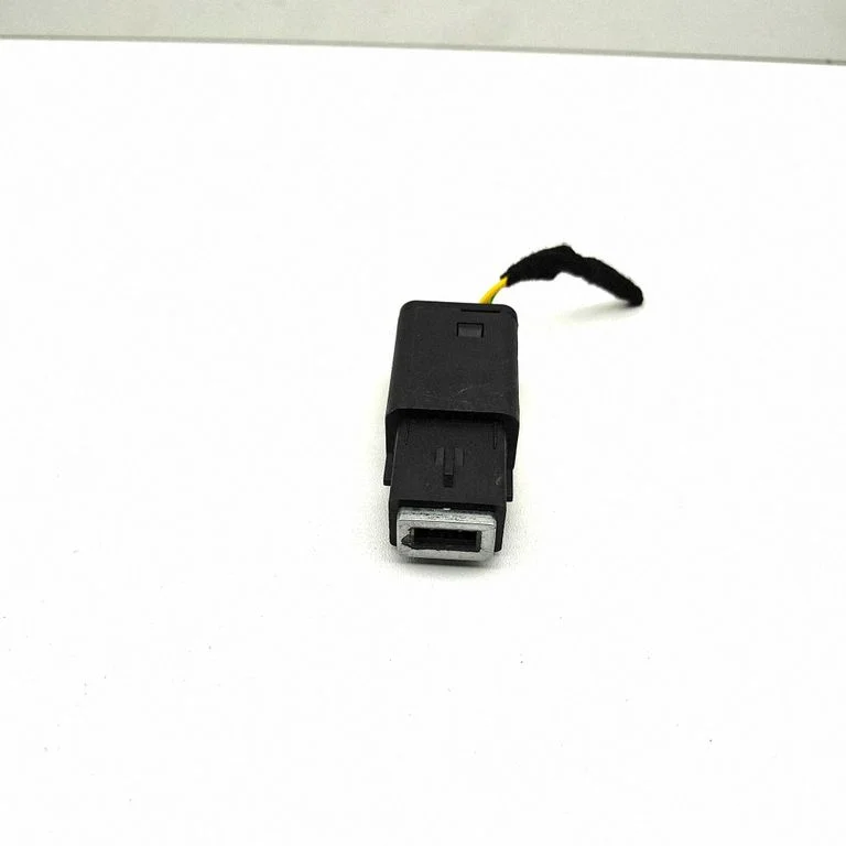 USB jungtis