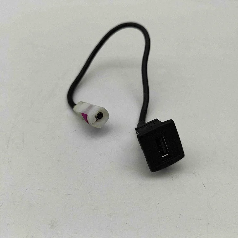 USB jungtis