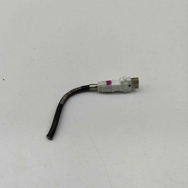USB jungtis